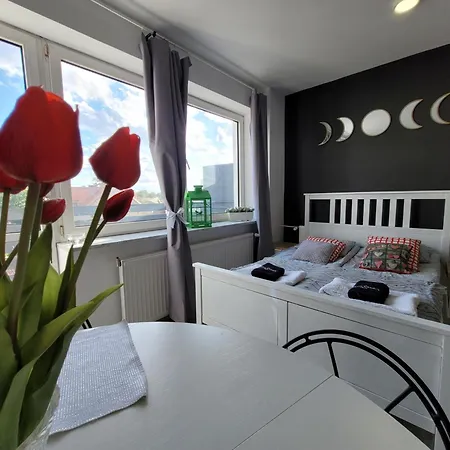 Parkowe Nr 10 アパート クフィジン